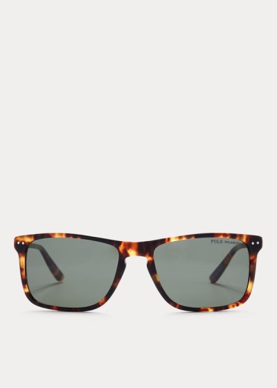 Men's Polo Ralph Lauren Metal Temple Sunglasses | 063817QPA